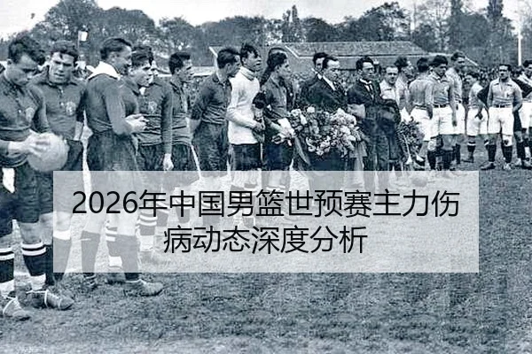 2026年中国男篮世预赛主力伤病动态深度分析